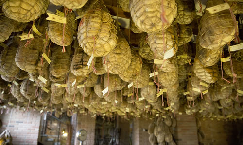 podere_home podere_home