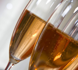 cantina-rose
