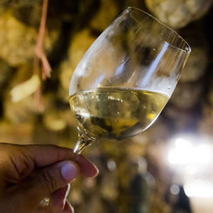vino-bianco-300x300