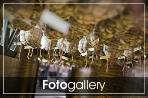 podere-fotogallery