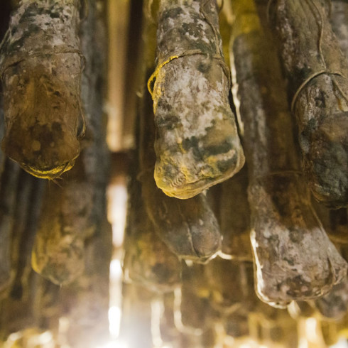 Salame Gentile Podere Cadassa Salame Gentile Podere Cadassa
